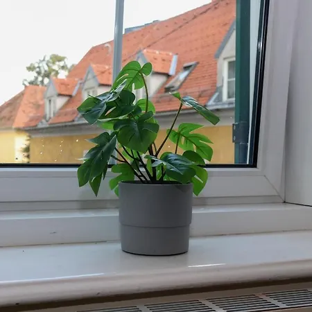 Altbauwohnung *