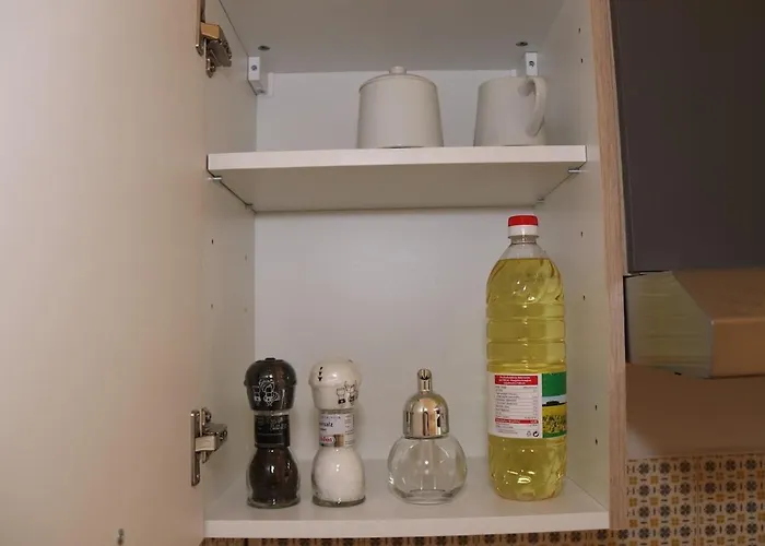 Altbauwohnung Štýrský Hradec