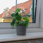 Altbauwohnung *