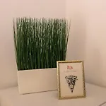 Altbauwohnung Διαμέρισμα