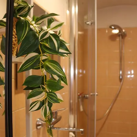 Altbauwohnung 格拉茨