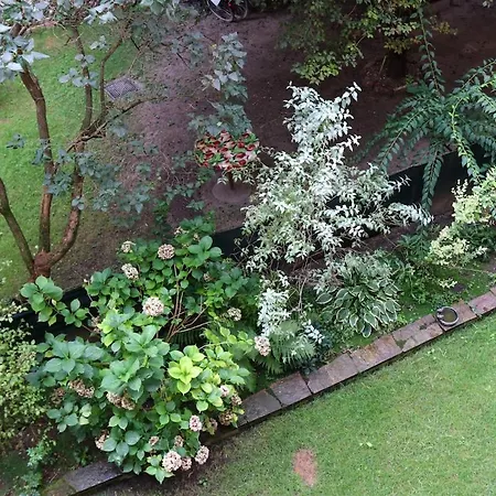 公寓 Altbauwohnung