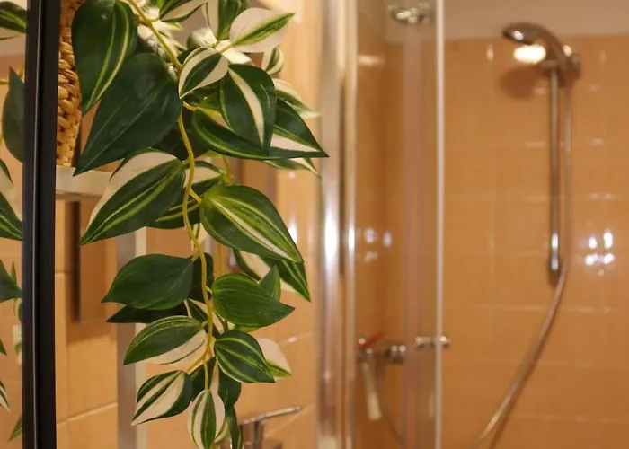 Altbauwohnung גראץ